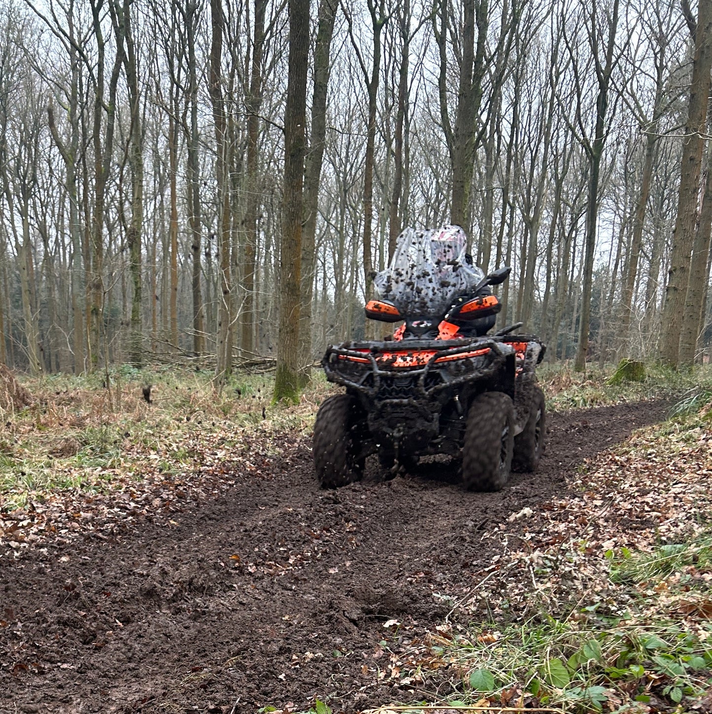 CFMOTO ATV driving on a trail through a forest