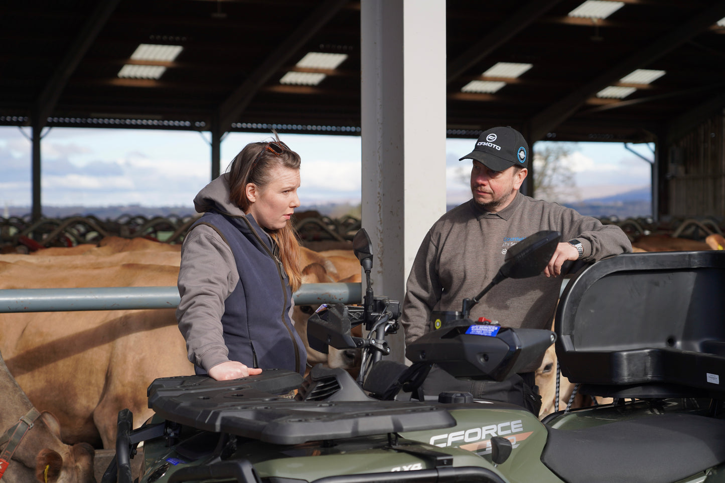 Two people on CFMOTO all-terrain vehicles in a barn with cows in the background