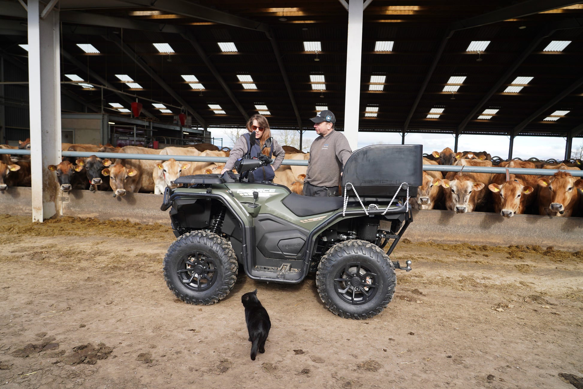 Two people standing next to a CFMOTO quad bike in a barn with cows in the background