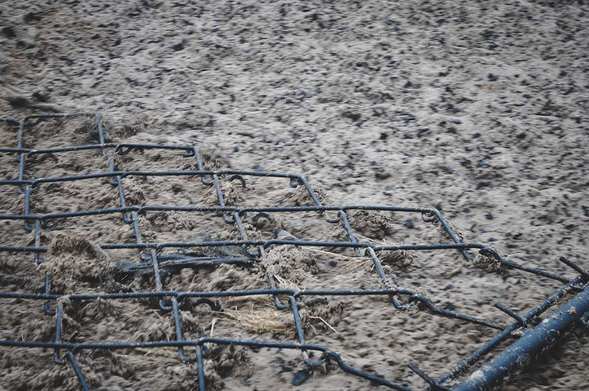 Chain harrow