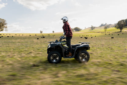 Person riding a CFMOTO quad bike in a grassy field with cows in the background