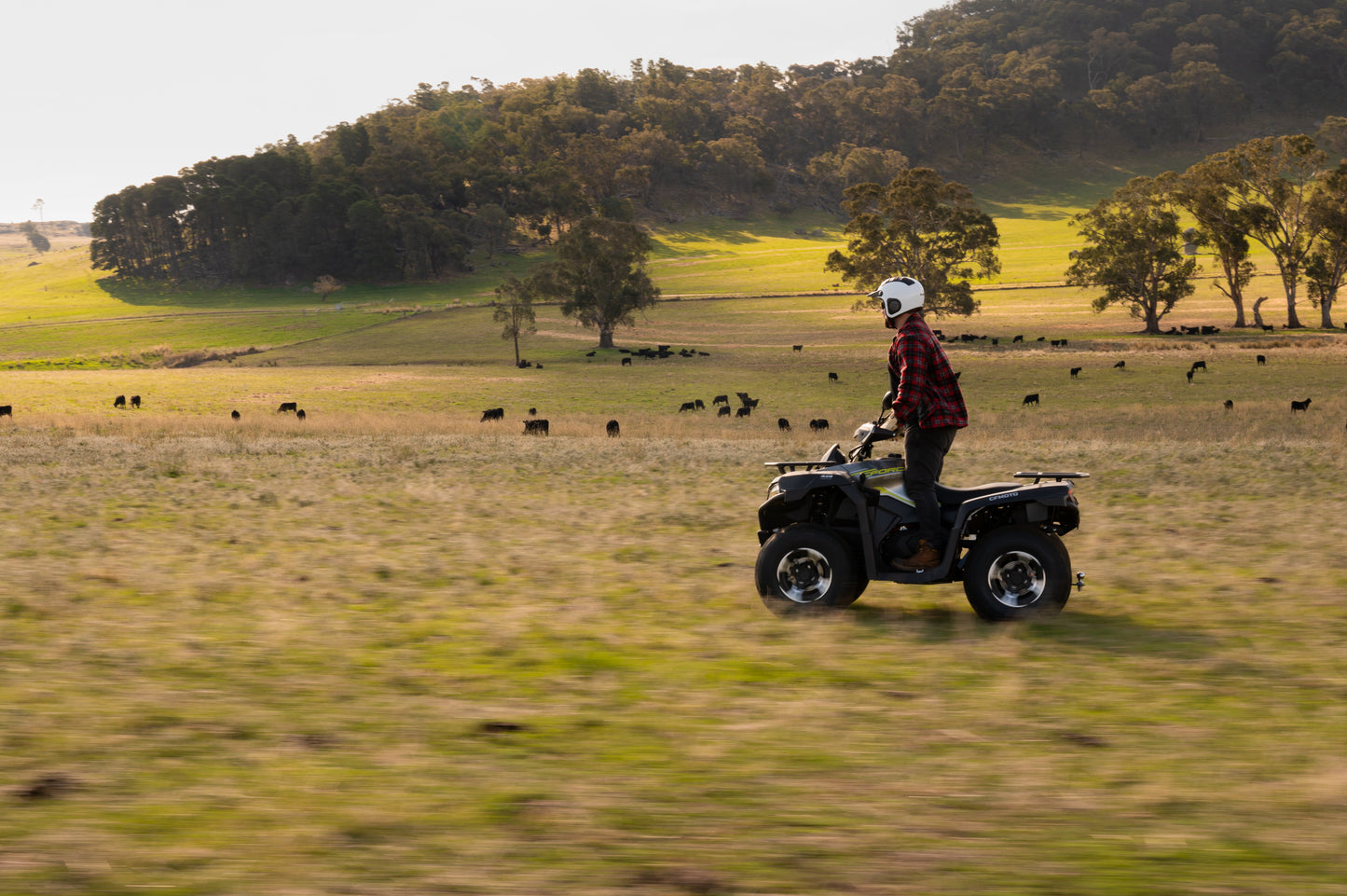 Person riding a CFMOTO ATV in a grassy field with trees and cows in the background