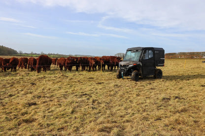 CFMOTO UFORCE 600 Highland UTV in a field with a group of cows.