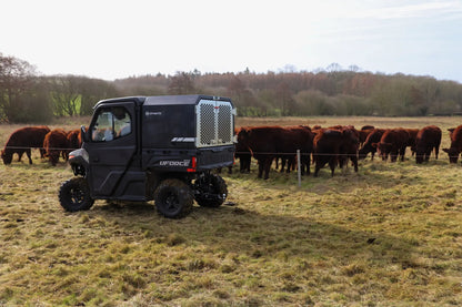 CFMOTO UFORCE 600 Highland UTV in a field with cows