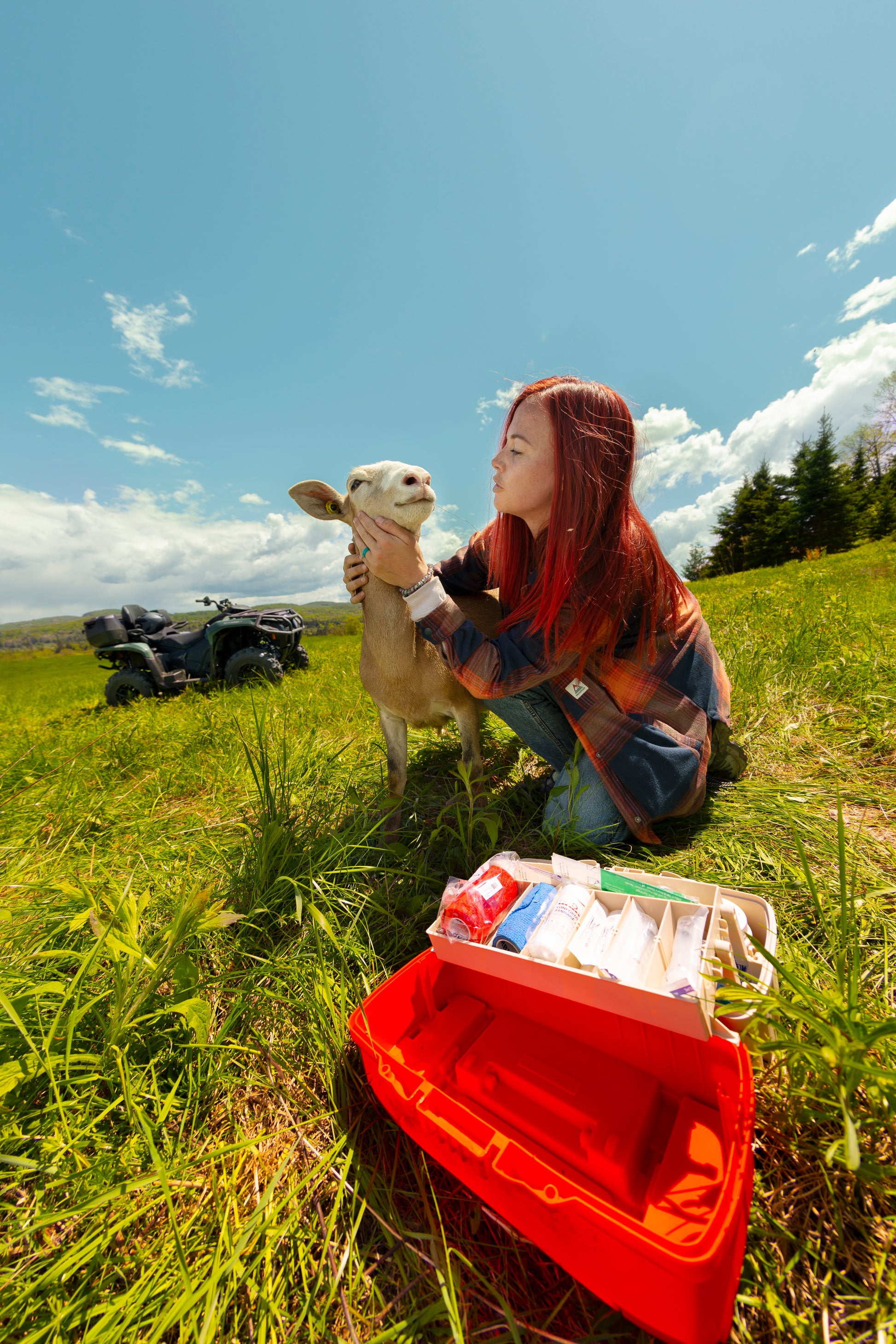 Person holding a lamb in a grassy field with a Can-Am ATV nearby