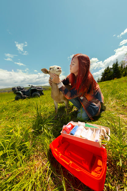 Person holding a lamb in a grassy field with a Can-Am ATV nearby