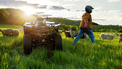 Person on a Can-Am ATV in a field with sheep at sunset