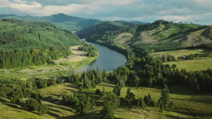 CFMOTO UFORCE U10 Pro XL UTV